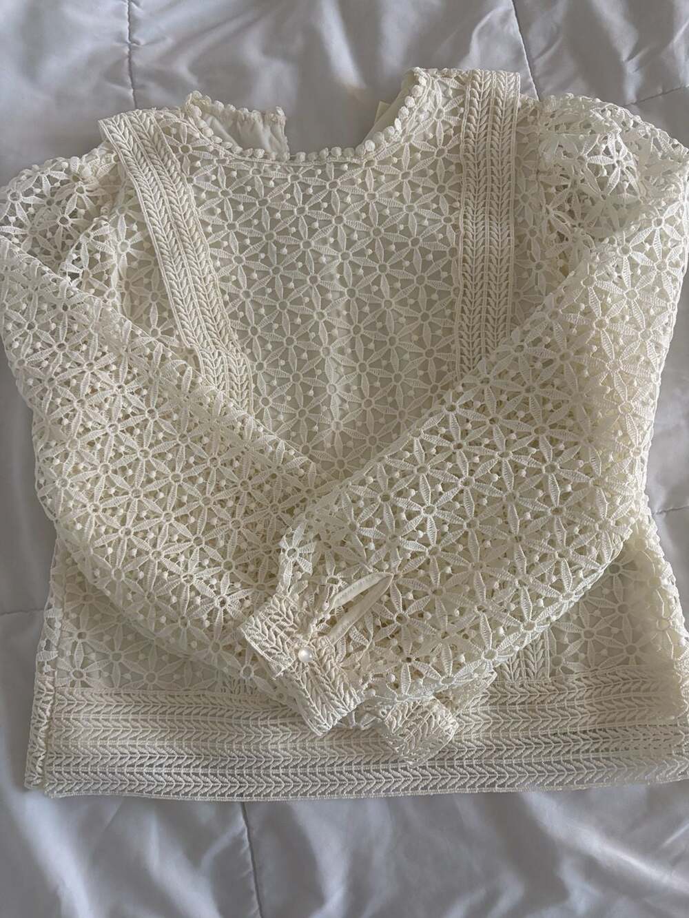 Ivy & Sage Cream Floral Lace Long Sleeve Blouse, Size Small